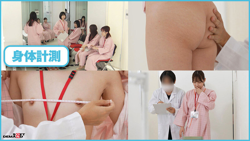 サンプル画像 4