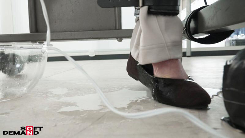 サンプル画像 5