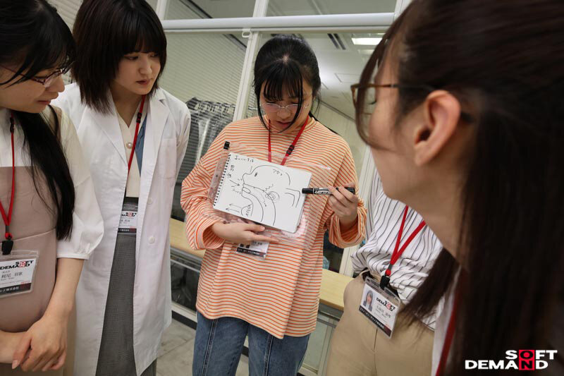 サンプル画像 12