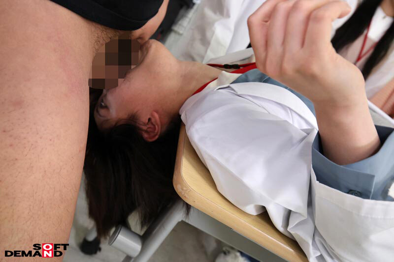 サンプル画像 14