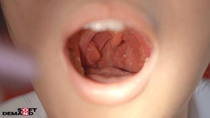 サンプル画像 9