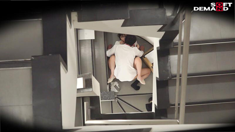 サンプル画像 13