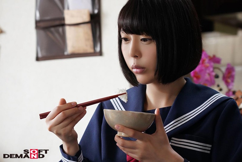 サンプル画像 8