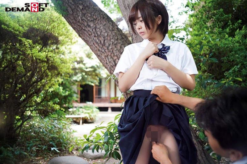 サンプル画像 17