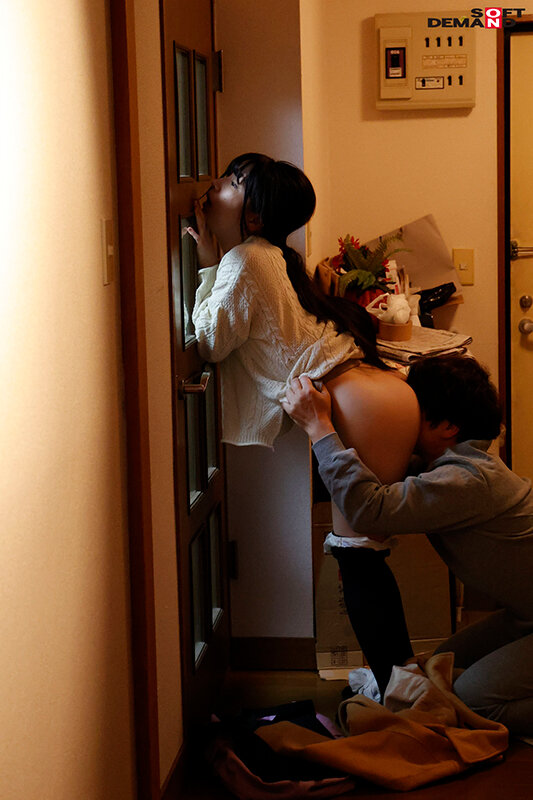 サンプル画像 9