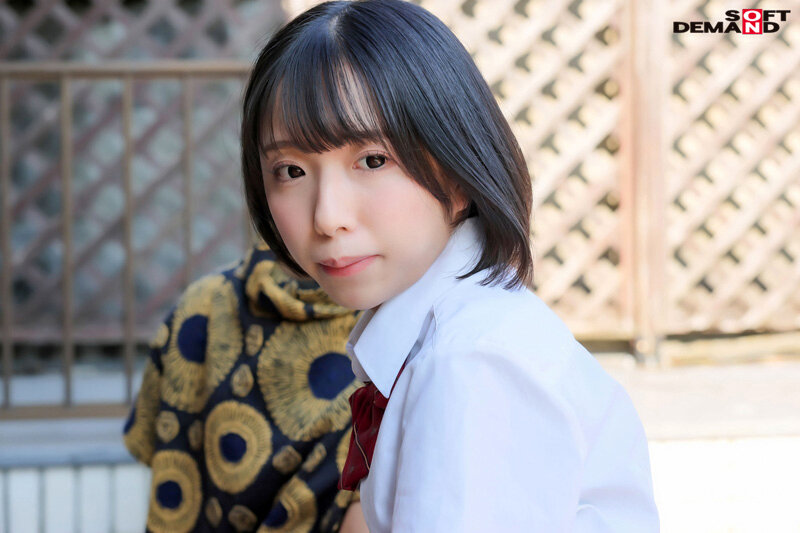 サンプル画像 12