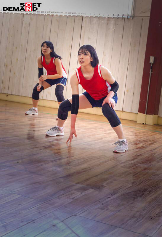 サンプル画像 3