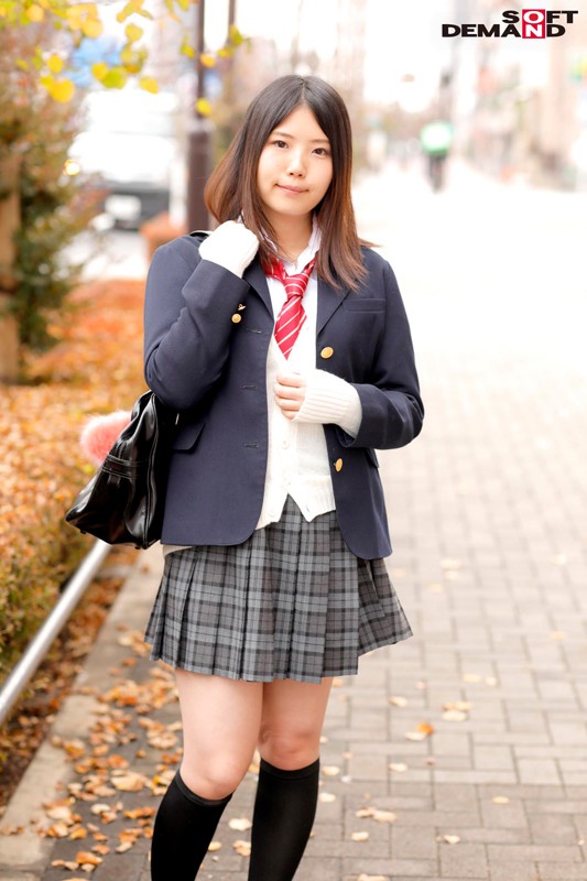 サンプル画像 9