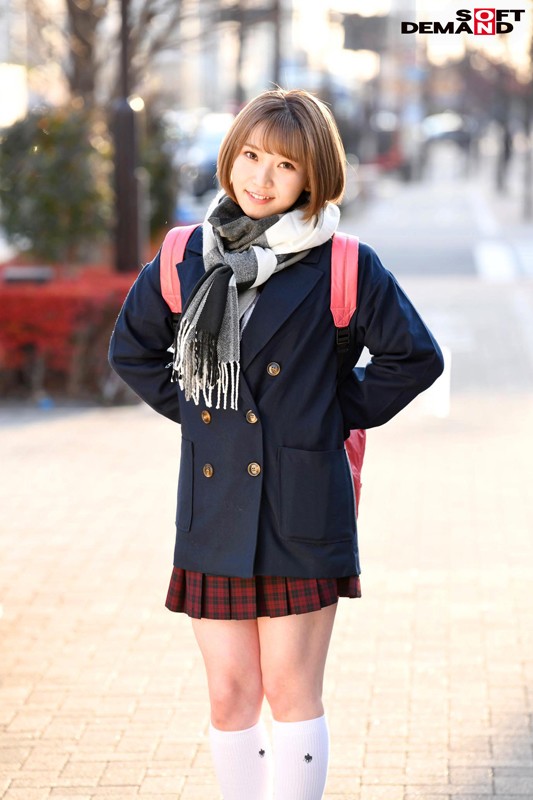 サンプル画像 4