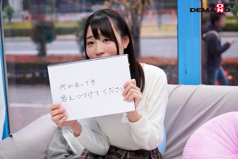 サンプル画像 17