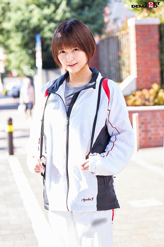 サンプル画像 4