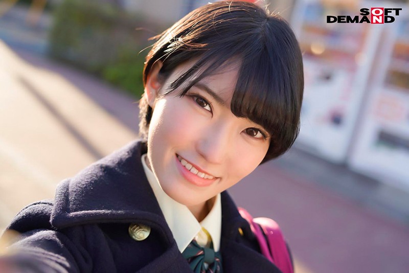 サンプル画像 12