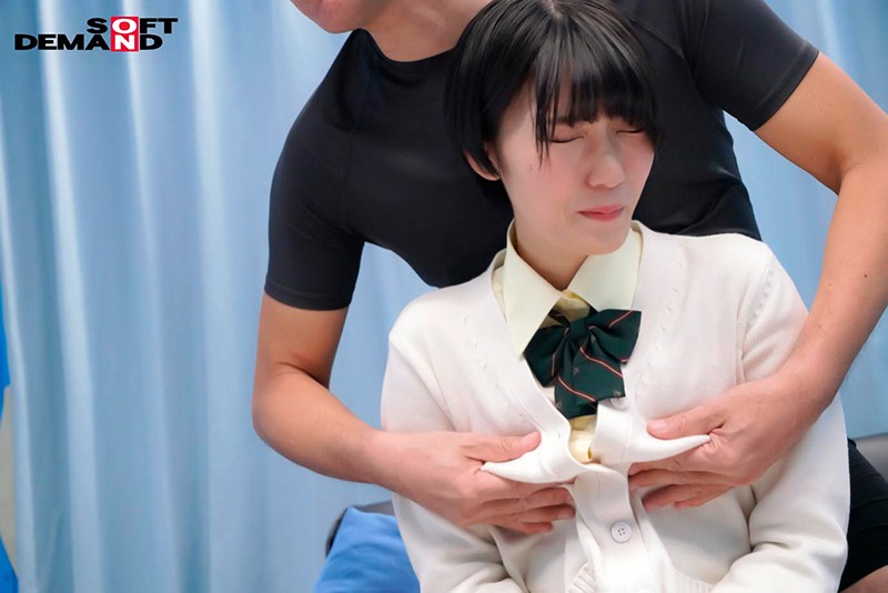 サンプル画像 13