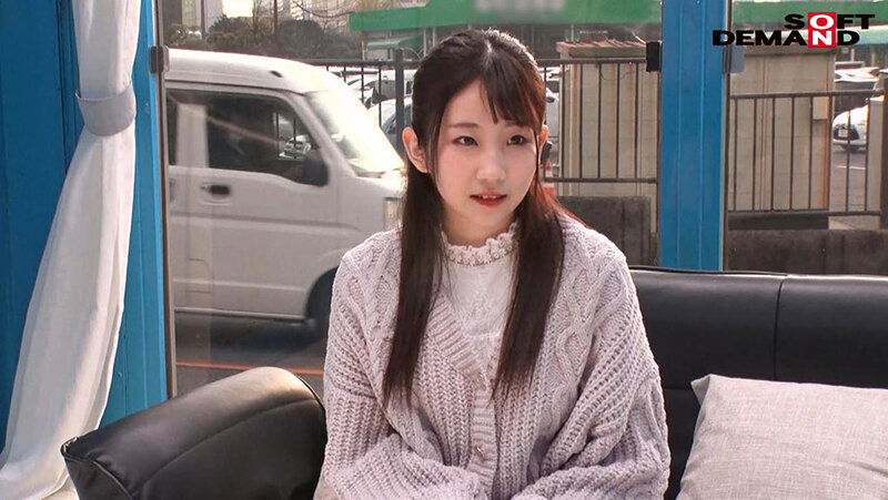 サンプル画像 5