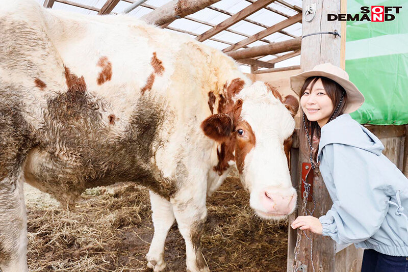 サンプル画像 5