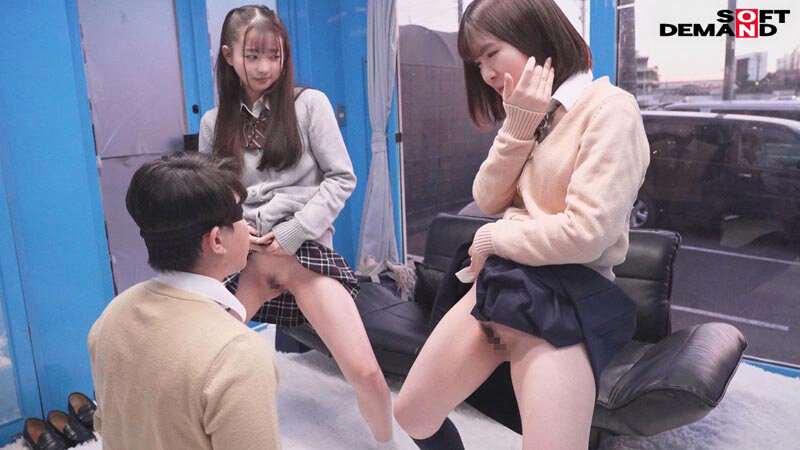 サンプル画像 15