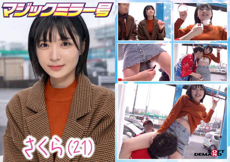 サンプル画像 8