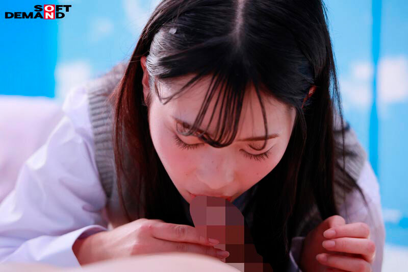 サンプル画像 12