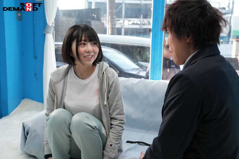 サンプル画像 17