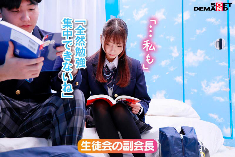 サンプル画像 11