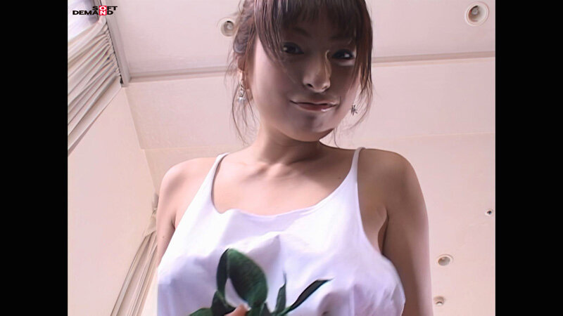 サンプル画像 5