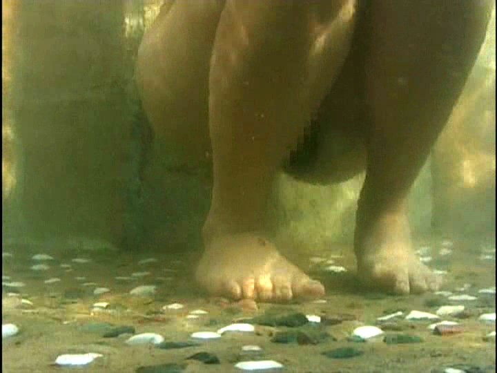 サンプル画像 5