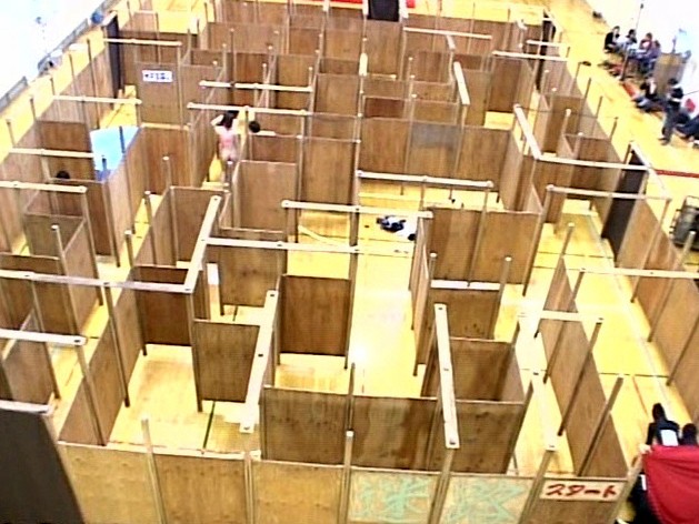 サンプル画像 12