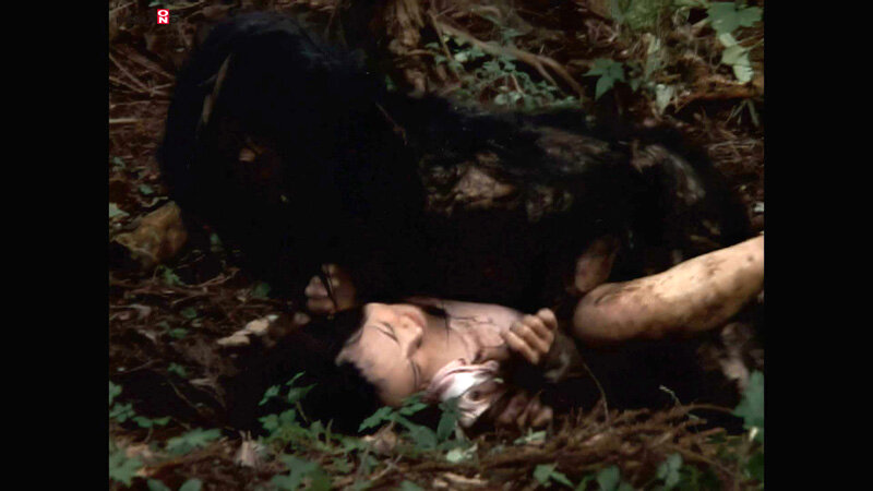 サンプル画像 9