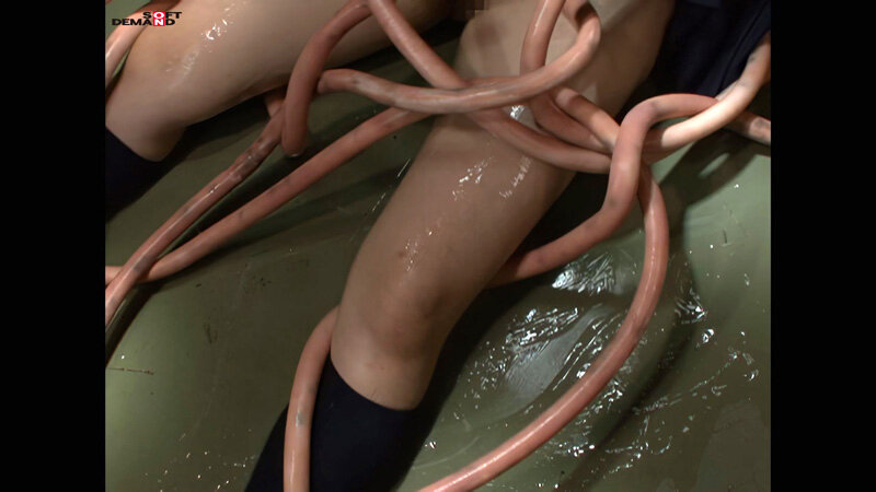 サンプル画像 21