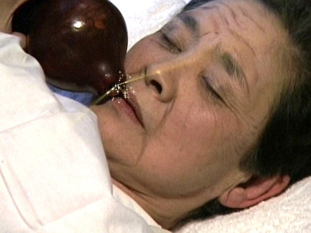 サンプル画像 13