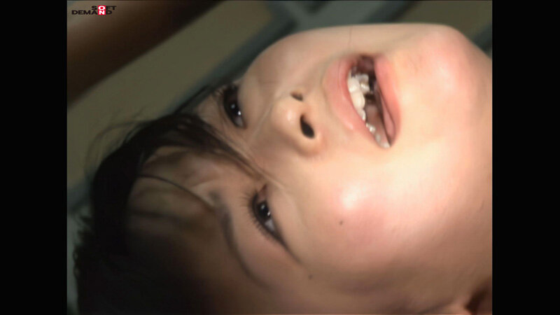 サンプル画像 13