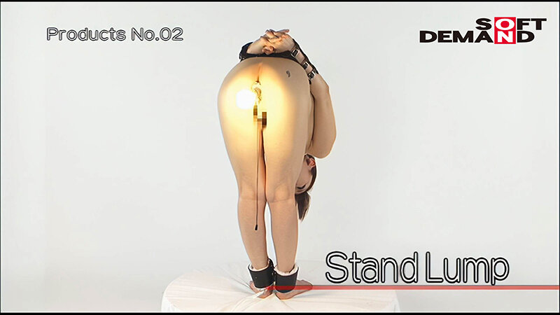 サンプル画像 11