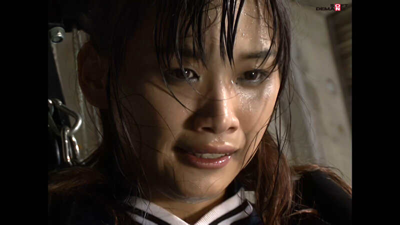 サンプル画像 8