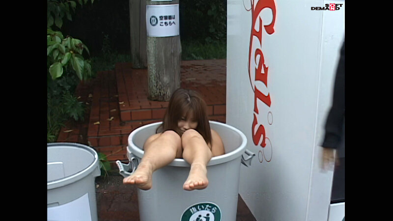 サンプル画像 11