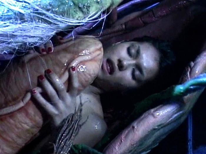 サンプル画像 14