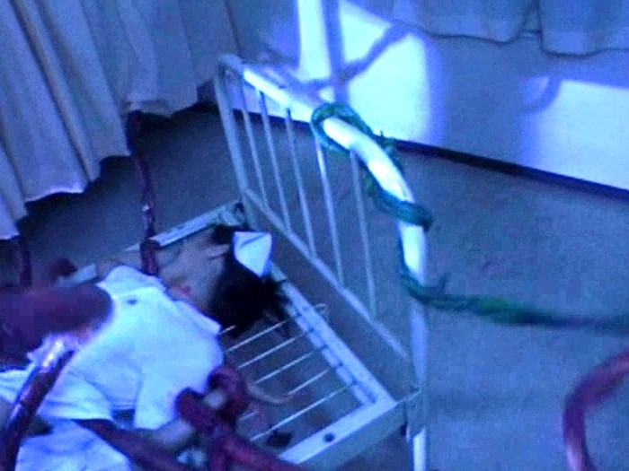 サンプル画像 3