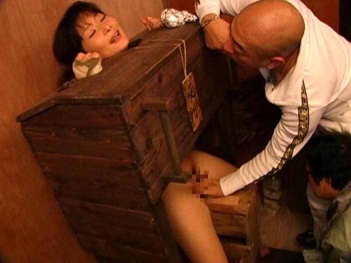 サンプル画像 8