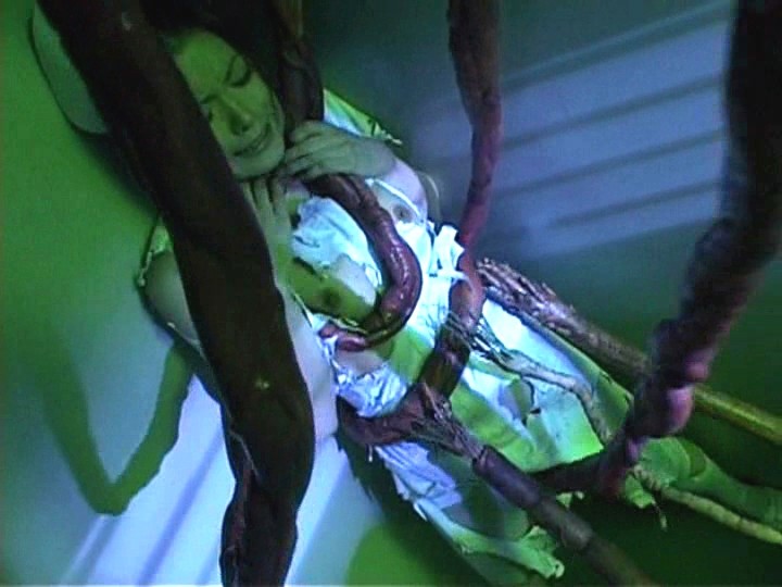 サンプル画像 8