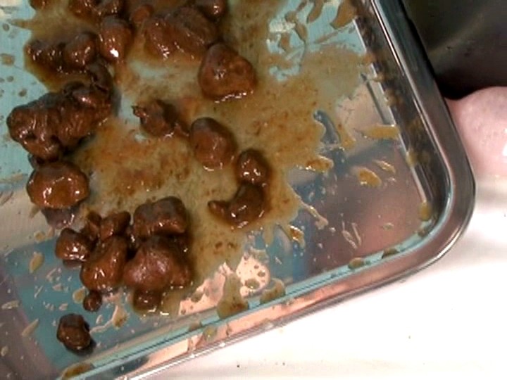 サンプル画像 21