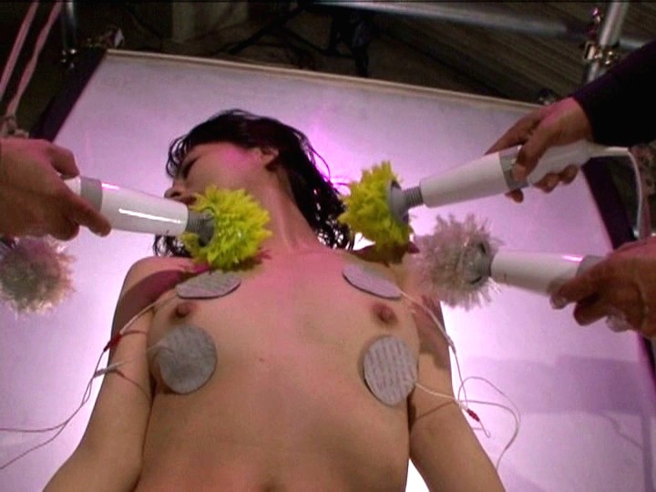 サンプル画像 11