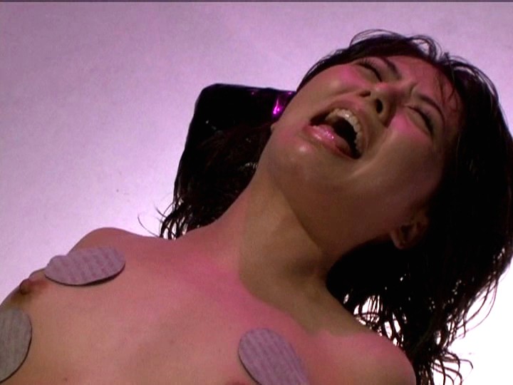 サンプル画像 13