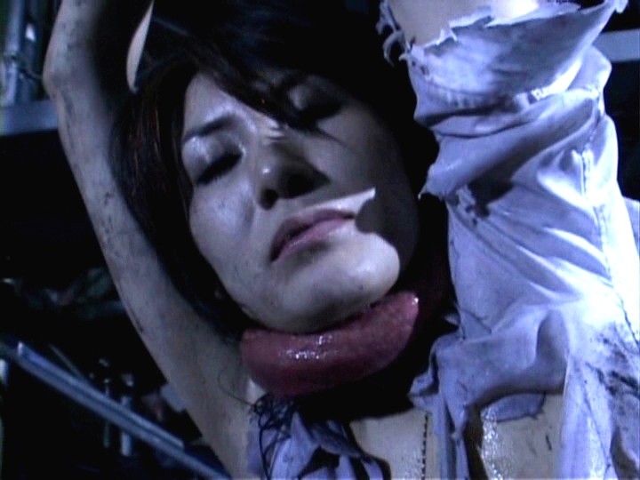 サンプル画像 17