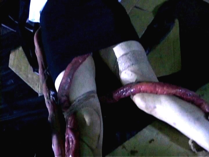 サンプル画像 4