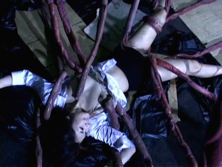 サンプル画像 5