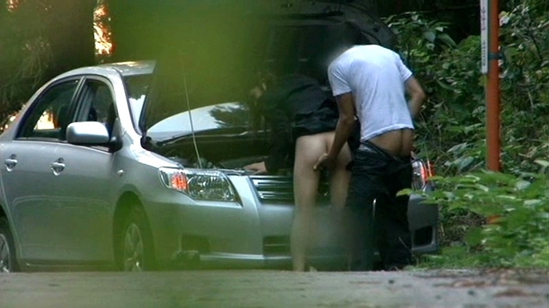 サンプル画像 11