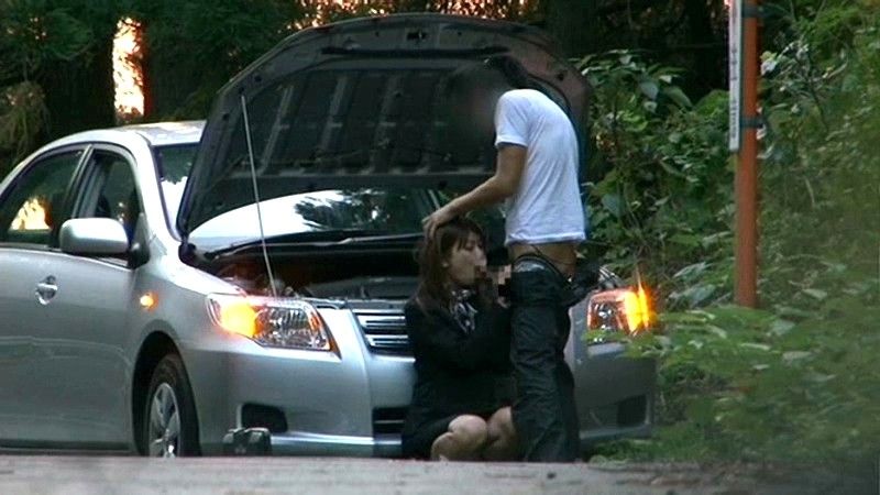 サンプル画像 10