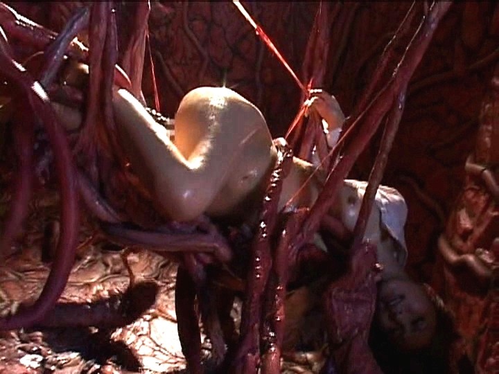 サンプル画像 12