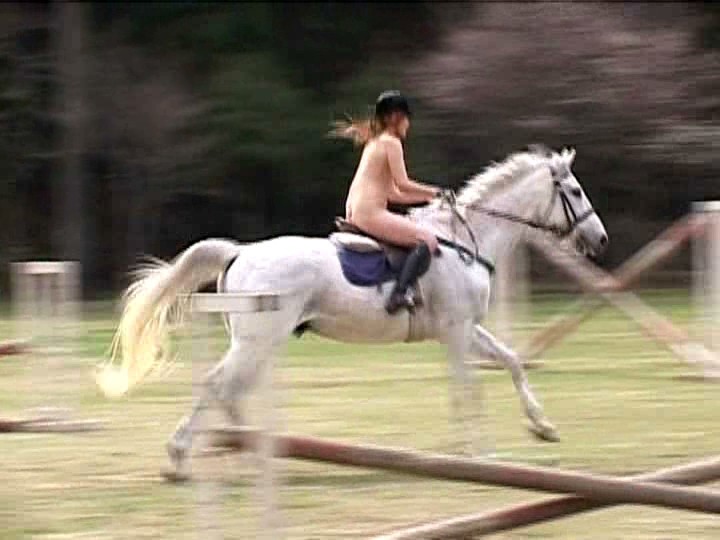 サンプル画像 15