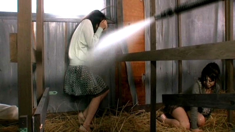 サンプル画像 3