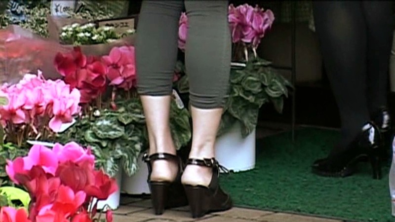 サンプル画像 3